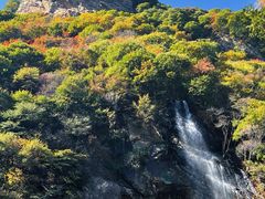 -少华山国家森林公园