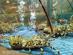 -好上好叶记海鲜舫(丰庆公园店)