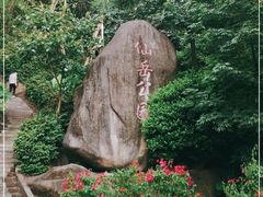 -仙岳公园