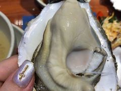 -千岛蚝高压锅生蚝·人参火锅(白云万达店)