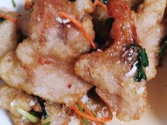 -金鹏鱼肉馆