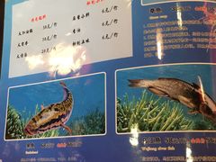 -重庆烧鸡公火锅(簋街店)