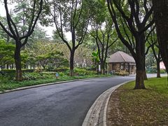 -昆山城市生态森林公园