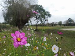 -汉长安城未央宫国家考古遗址公园