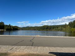 -五营红松林海景区