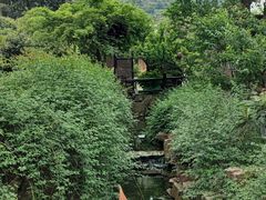 -树山生态村