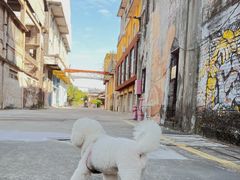 -广州市紫泥堂文化创意园景区