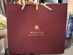 -南宁红林大酒店