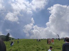 -芦芽山旅游度假区