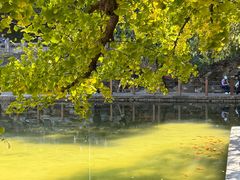 -香山公园