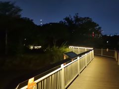 -福田红树林生态公园