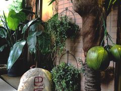 -海悦容庭SPA·按摩·推拿(东盟店)