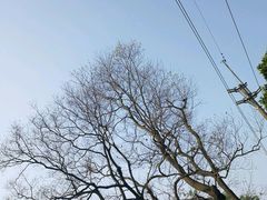 -白云山风景名胜区