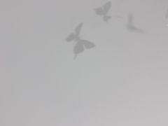 -成都失恋馆
