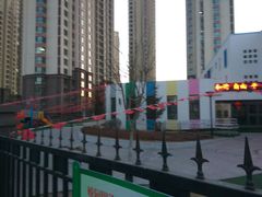 -红杉树紫金幼儿园