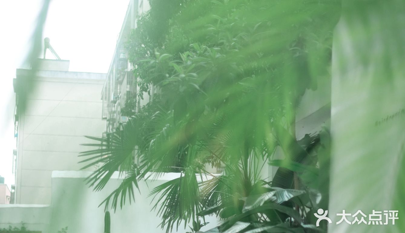 隐于社区🍃宁波最美庭院式理发店💈绿野仙踪
