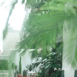 隐于社区🍃宁波最美庭院式理发店💈绿野仙踪