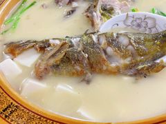 汪刺鱼豆腐汤-水根饭店