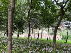 -森林公园(尖草坪区)