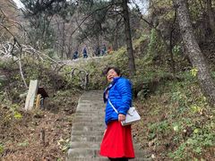 -终南山国家森林公园