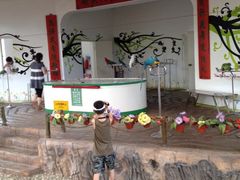 iphone_upload_pic-南戴河国际娱乐中心