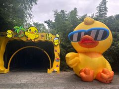 -苏州太湖国家湿地公园