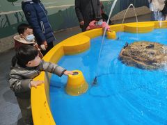 -中国杭州低碳科技馆
