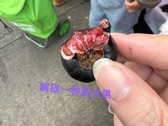 -南门绿玉农贸市场