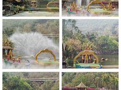 -西双版纳原始森林公园