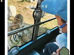 -西安秦岭野生动物园