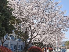 -江南大学(蠡湖校区)