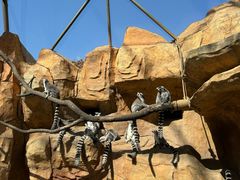 -北京野生动物园