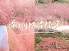 -深圳仙湖植物园