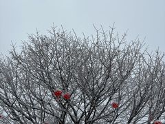 -黄山西海饭店-自助餐厅