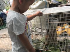 -马陆小张葡萄园农家乐