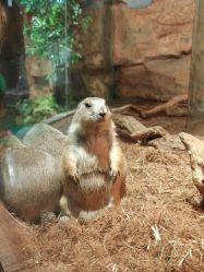 -Zoolung Zoolung动物主题公园(海信广场店)