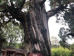 -黄帝陵