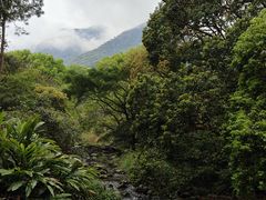 -福清灵石山国家森林公园