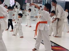 -极真空手道修远道场