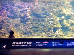 -江和美海洋公园