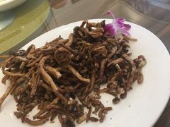 -今鲜源大酒店·中华餐饮名店(新湛路店)