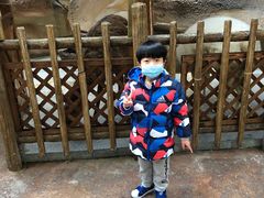 -杭州开元森泊度假乐园