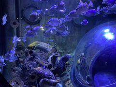 -成都浩海立方海洋公园