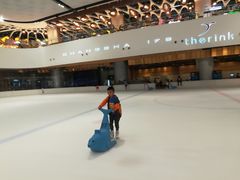 -TheRink大零溜冰场(IFS国金中心店)