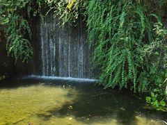 -千岛湖东南湖区