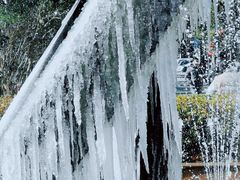 -上海市第一人民医院(松江南部)