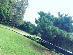 -同里国家湿地公园