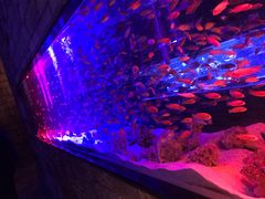 -zoonana室内动物园(东方福来德店)