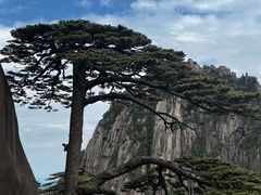 -黄山风景区