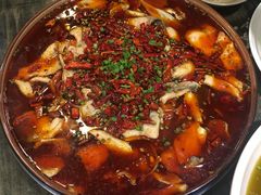 -庆合府重庆大排档(紫都城店)